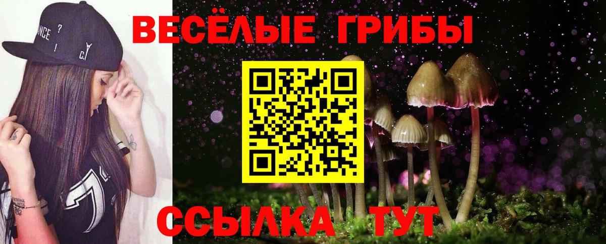 Галлюциногенные грибы GOLDEN TEACHER  Вход с VPN  Калач-на-Дону 